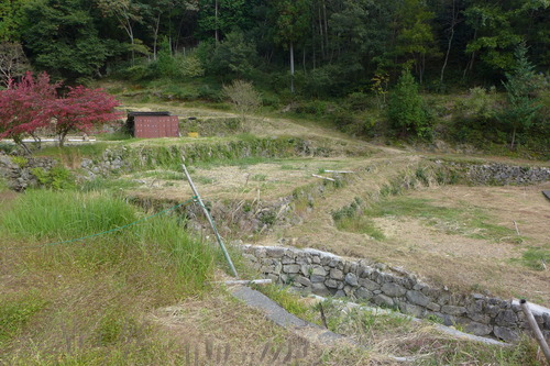 P1250847