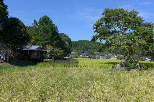 P1180950