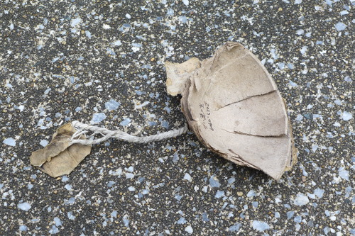 P1210363