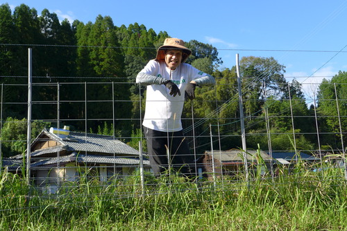 20251006竹田秋のさやけきフラヌール（その６）膝小僧のはちみつ屋の大屋敬一さん（竹田市倉木）きんちゃんファームで畑仕事も飄々と！