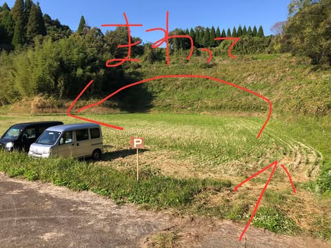 575110517_1153719519694151_6535275982049898353_n