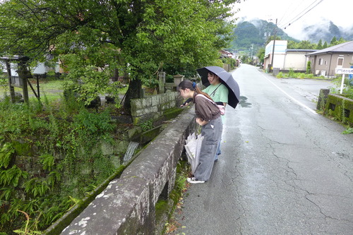 P1300150
