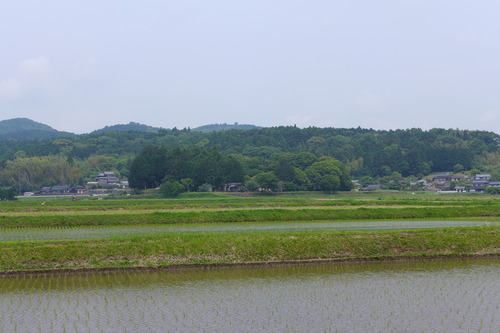 P1100829
