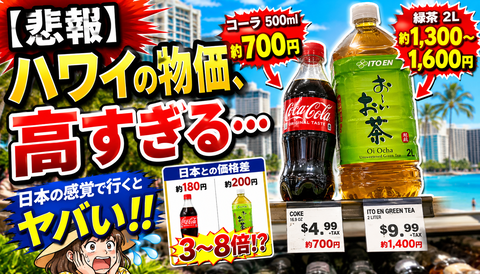 【悲報】ハワイの緑茶、2Lで1600円ｗｗｗのサムネイル