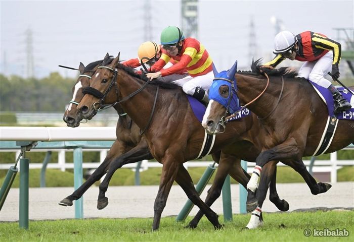 【悲報】有馬記念、ガチでムズイ