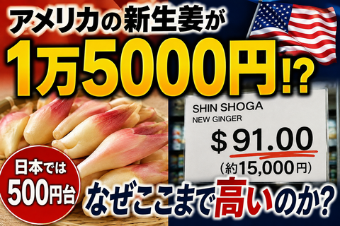 F9585D86-2FB8-41F2-8EB5-AE47A4D5F1C7