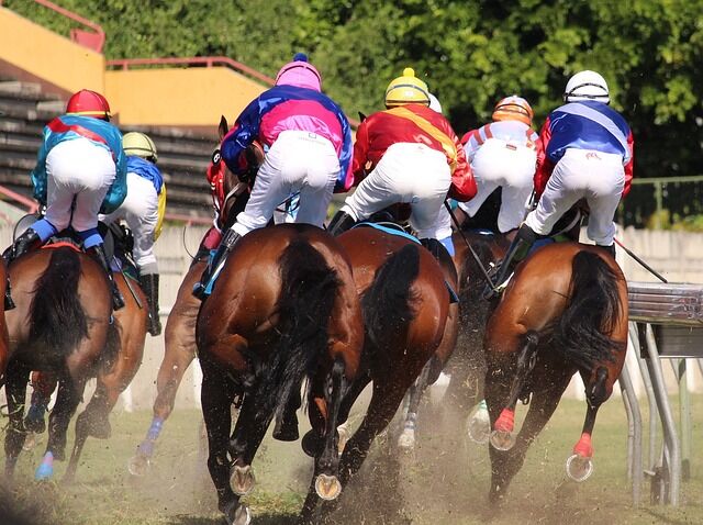 【緊急速報】有馬記念、さっそく大番狂せが発生してしまう