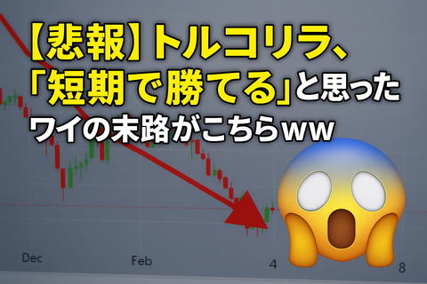【悲報】トルコリラ、“短期で勝てる”と思ったワイの末路ｗｗ