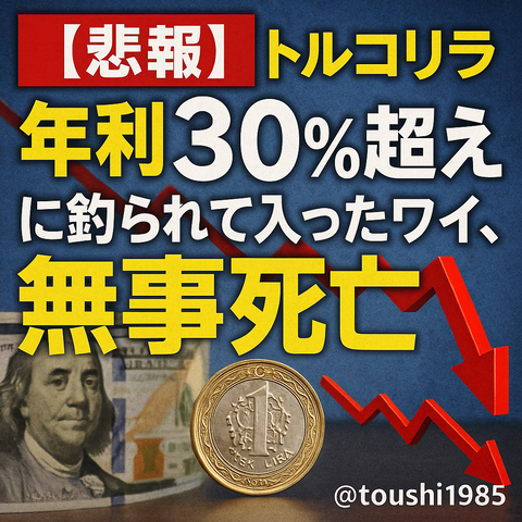 【悲報】トルコリラ年利“30％超え”に釣られて入ったワイ、無事死亡ｗｗｗｗ