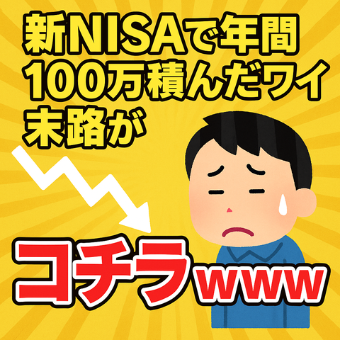【現実】新NISAで年間100万積んだワイの末路がコチラｗｗｗｗ
