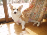 f3784f65-s.jpg
