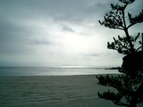 CIMG0008