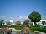 CIMG0008