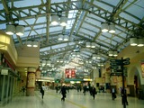 CIMG0003