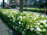 CIMG0002