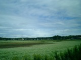CIMG0004