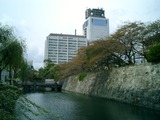 CIMG0008