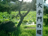 CIMG0005