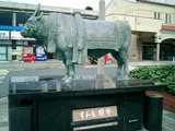 CIMG0061
