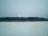 CIMG0008