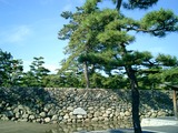CIMG0008