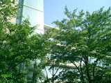 CIMG0011