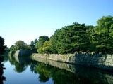 CIMG0151