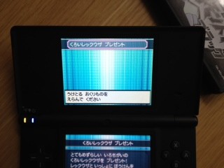Ds ポケモン ブラック ホワイト で受け取れる ノブナガの黒いレックウザ を受け取ってみたよ ケケのチャンネル80 ｴﾍﾍ