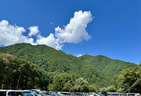 ��������¤�