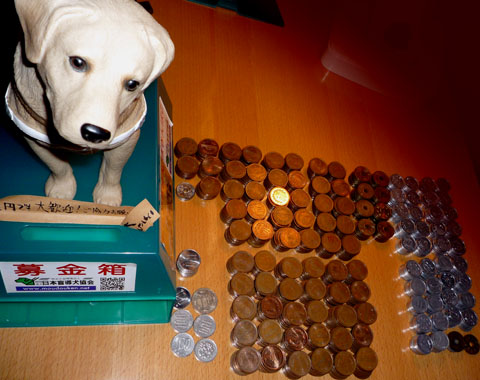 盲導犬募金箱12