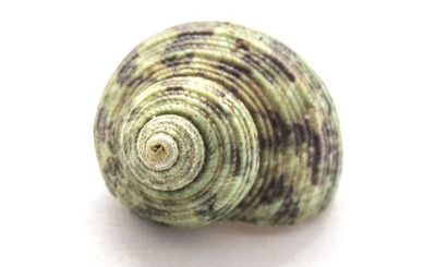 0211f096 s