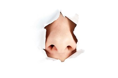 すごい嗅覚だねぇ