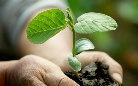 【謎】おじさん達、なぜか家庭菜園を始めてしまう…　今年は何植えるの？