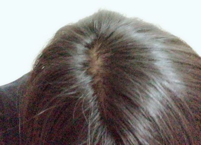 WS000019