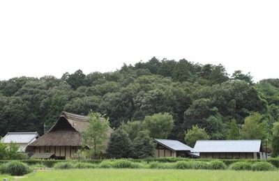 WS000031
