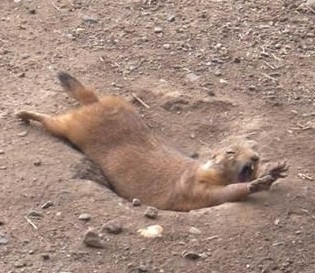 落とし穴っていうよりは