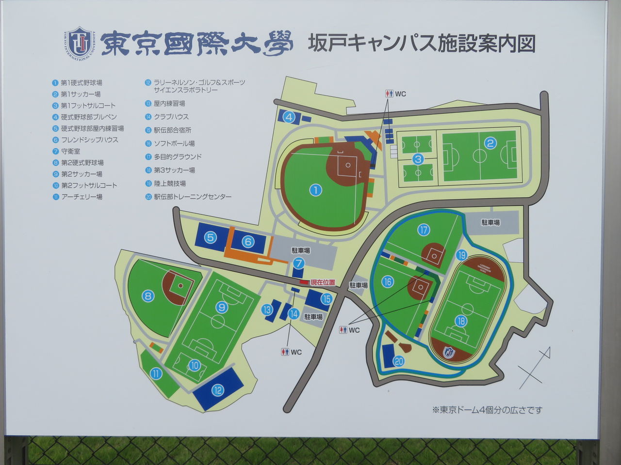 堀北さん 東京国際大学坂戸キャンパス野球場デテールです トラさんの純真 堀北さん 東京国際大学坂戸キャンパス野球場デテールです トラさんの純真