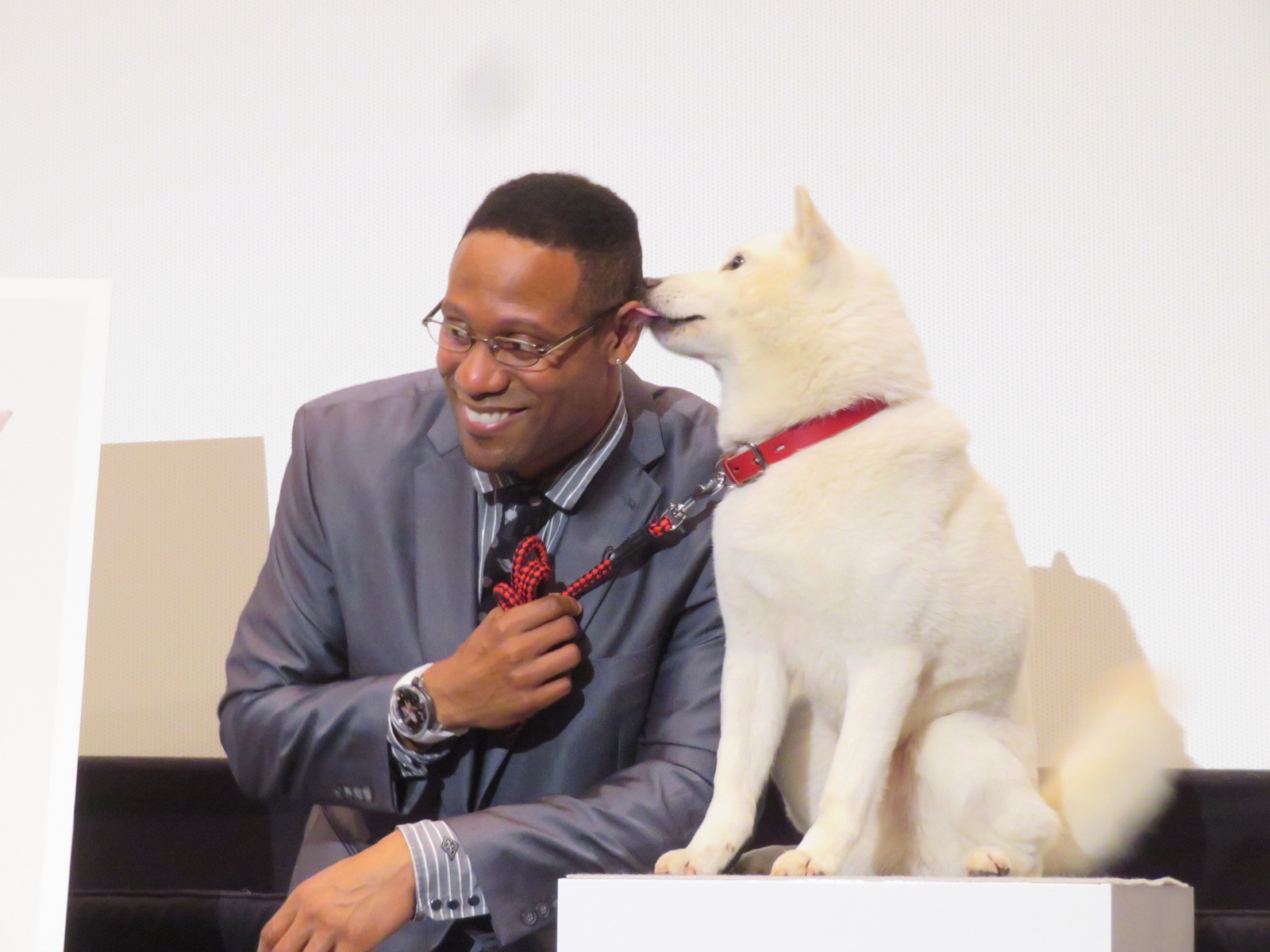 堀北さん ソフトバンクの犬のお父さんは二代目だと知ったバルト9撮影会でした トラさんの純真 堀北さん ソフトバンクの犬のお父さんは二代目だと知ったバルト9撮影会でした トラさんの純真