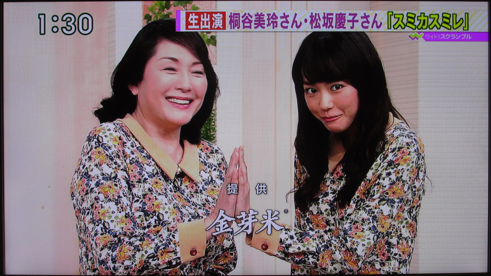 堀北さん 桐谷美玲さん主演の連ドラ今晩スタートです トラさんの純真 堀北さん 桐谷美玲さん主演の連ドラ今晩スタートです トラさんの純真