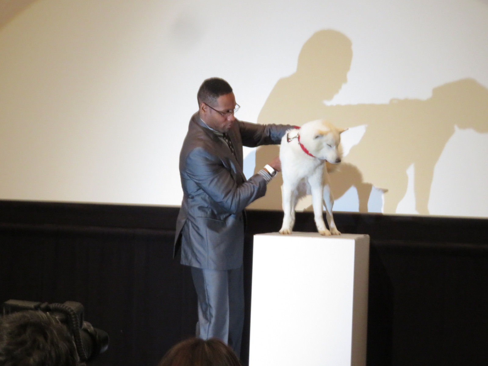 堀北さん ソフトバンクの犬のお父さんは二代目だと知ったバルト９撮影会でした トラさんの純真