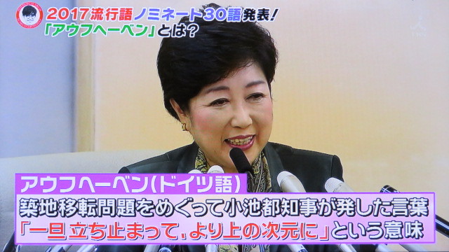 堀北さん 流行語大賞ノミネート語って ちーがーうーだーろー 違うだろー だよね トラさんの純真 堀北さん 流行語大賞ノミネート語って ちーがーうーだーろー 違うだろー だよね トラさんの純真