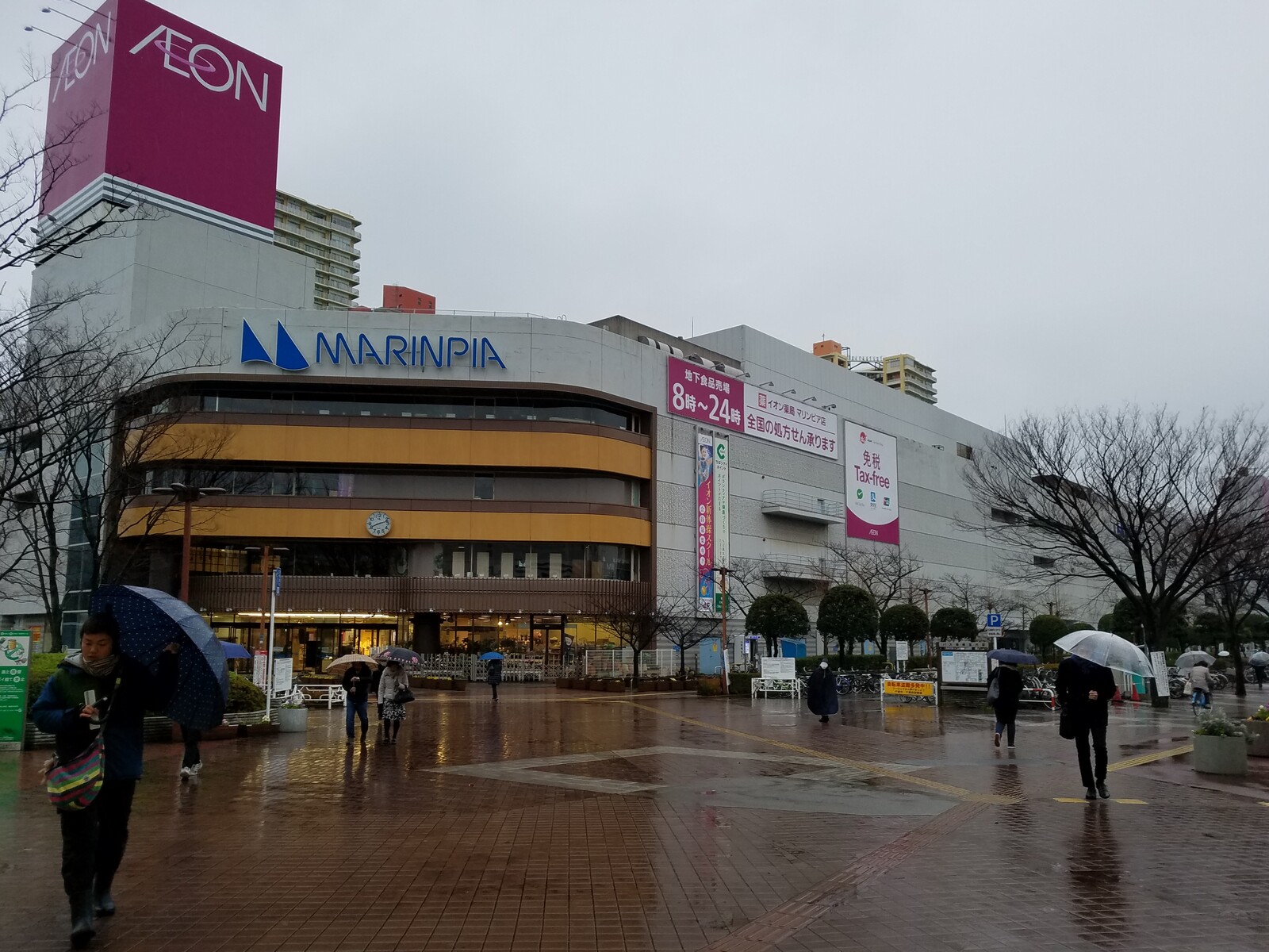 飯豊まりえへの報告の気持ちの整理が着かない 人生初フルマラソンは吹雪の中失格に終わりました トラさんの純真 飯豊まりえへの報告の気持ちの整理が着かない 人生初フルマラソンは吹雪の中失格に終わりました トラさんの純真