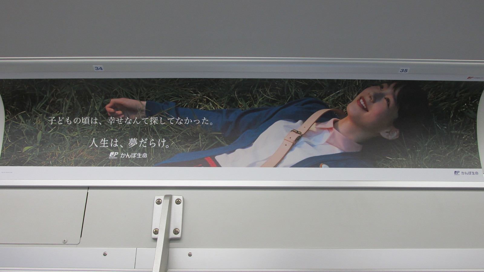 トラさんの純真 14年11月 トラさんの純真 14年11月