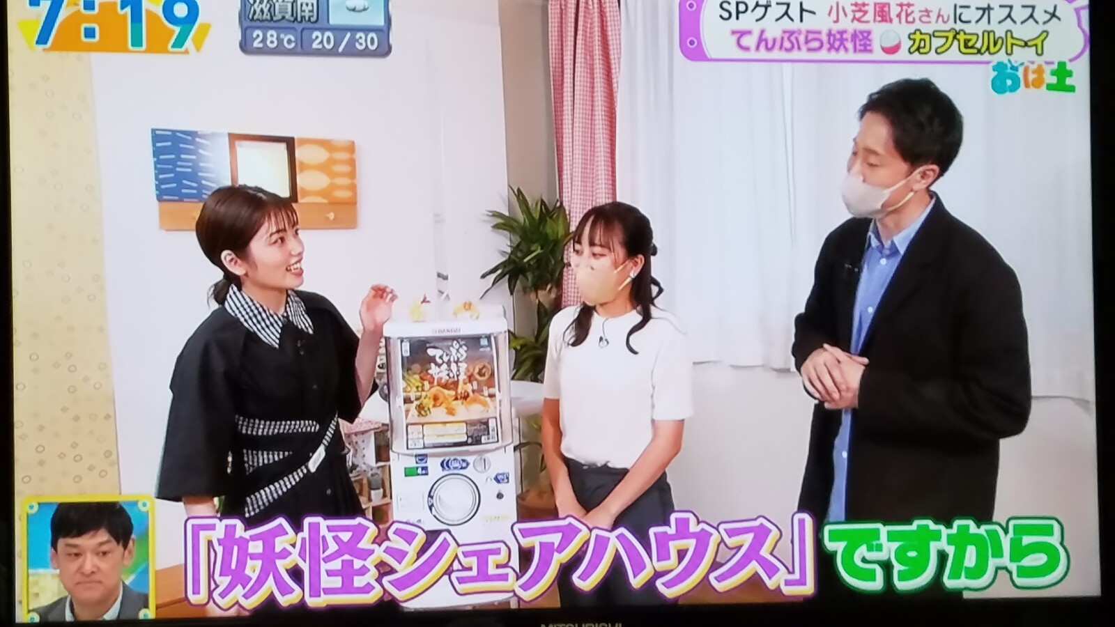 おはよう朝日です土曜日です の小芝風花様で目覚める実家の朝です トラさんの純真 おはよう朝日です土曜日です の小芝風花様で目覚める実家の朝です トラさんの純真
