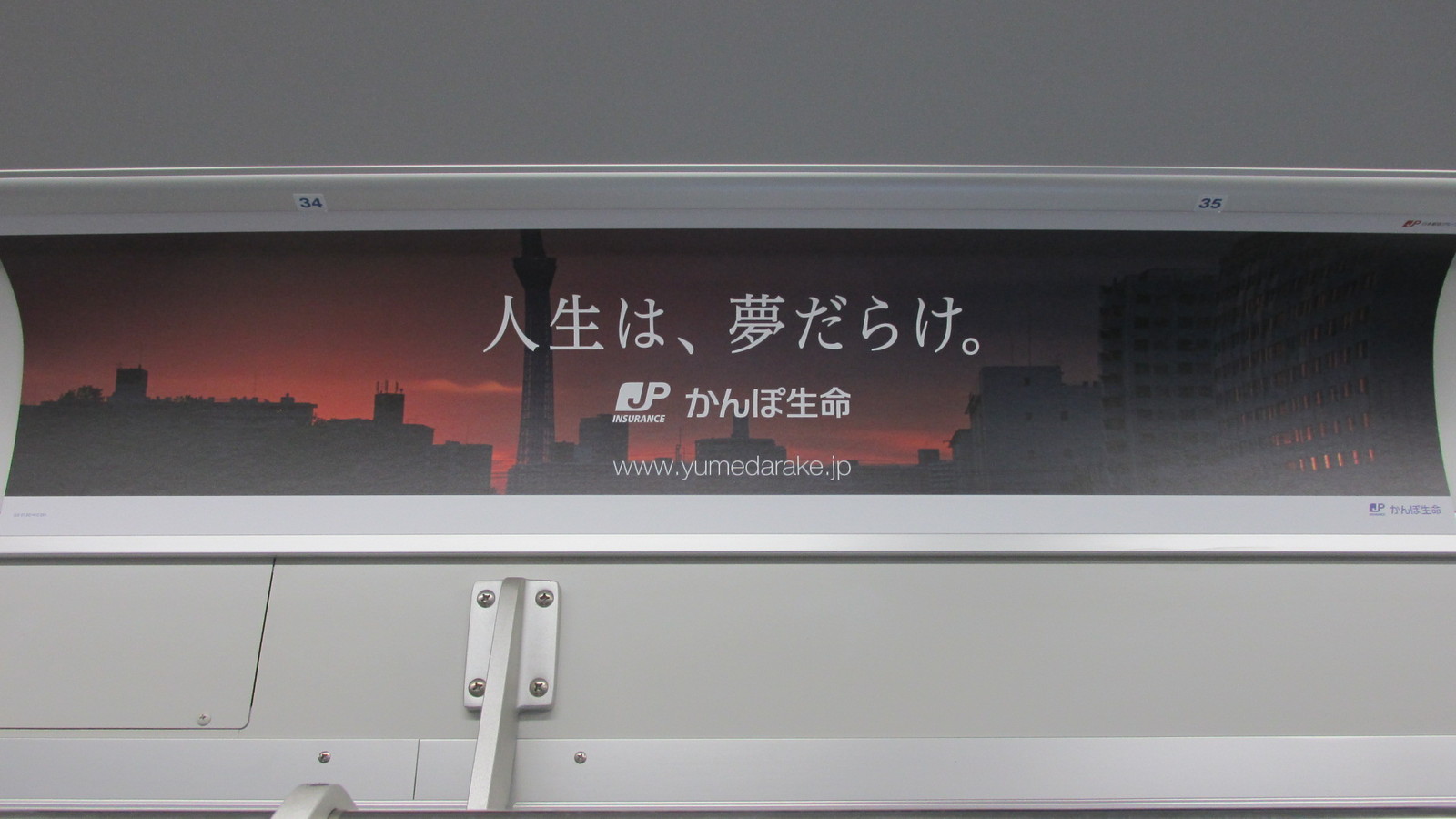 トラさんの純真 14年11月 トラさんの純真 14年11月