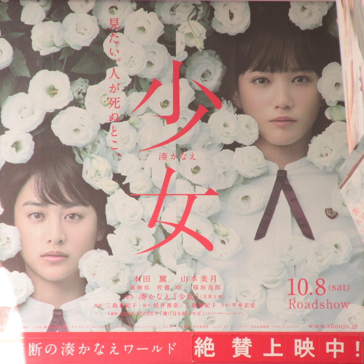 トラさんの純真 16年10月27日