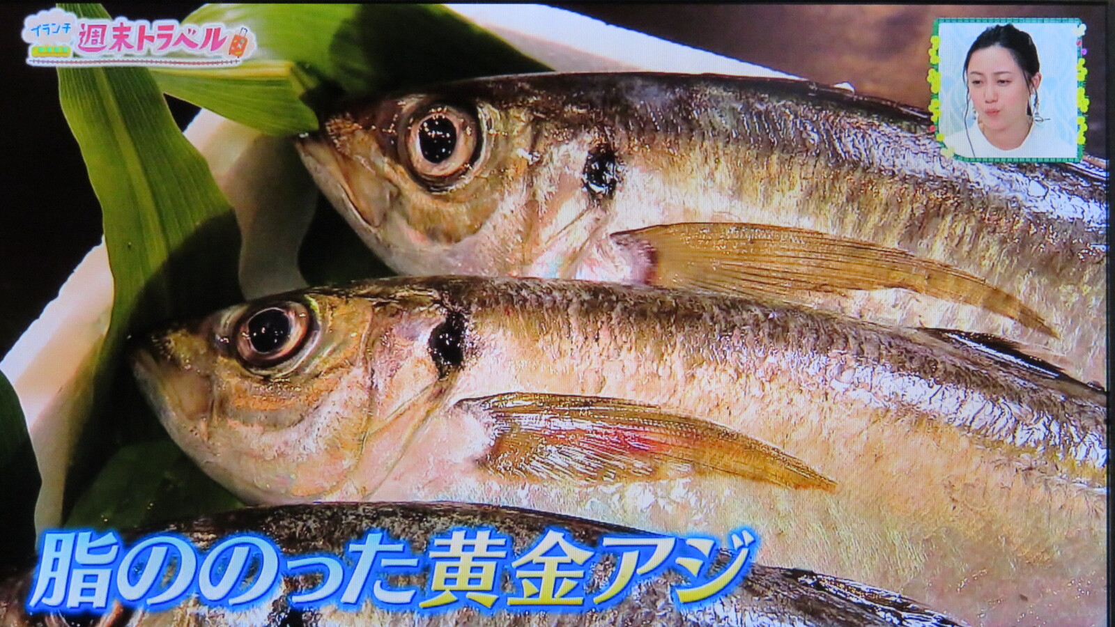 苦節二ヶ月の作業でやっと床レベルの新聞雑誌が無くなりました トラさんの純真