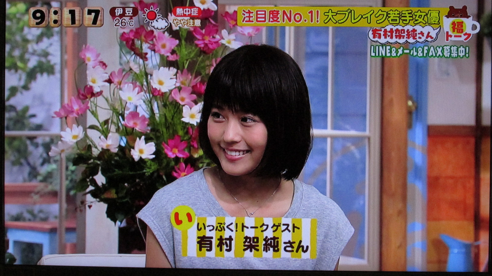 堀北さんも有村架純の様に大使が出来たらいいなとも思います トラさんの純真 堀北さんも有村架純の様に大使が出来たらいいなとも思います トラさんの純真