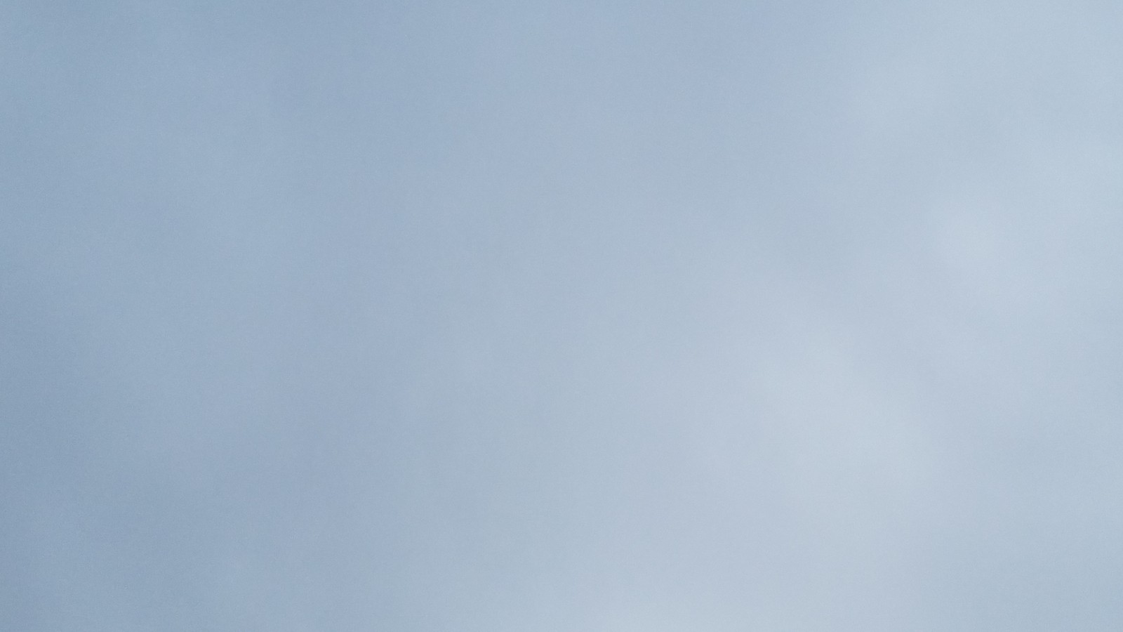 トラさんの純真                さかがみ虎吉