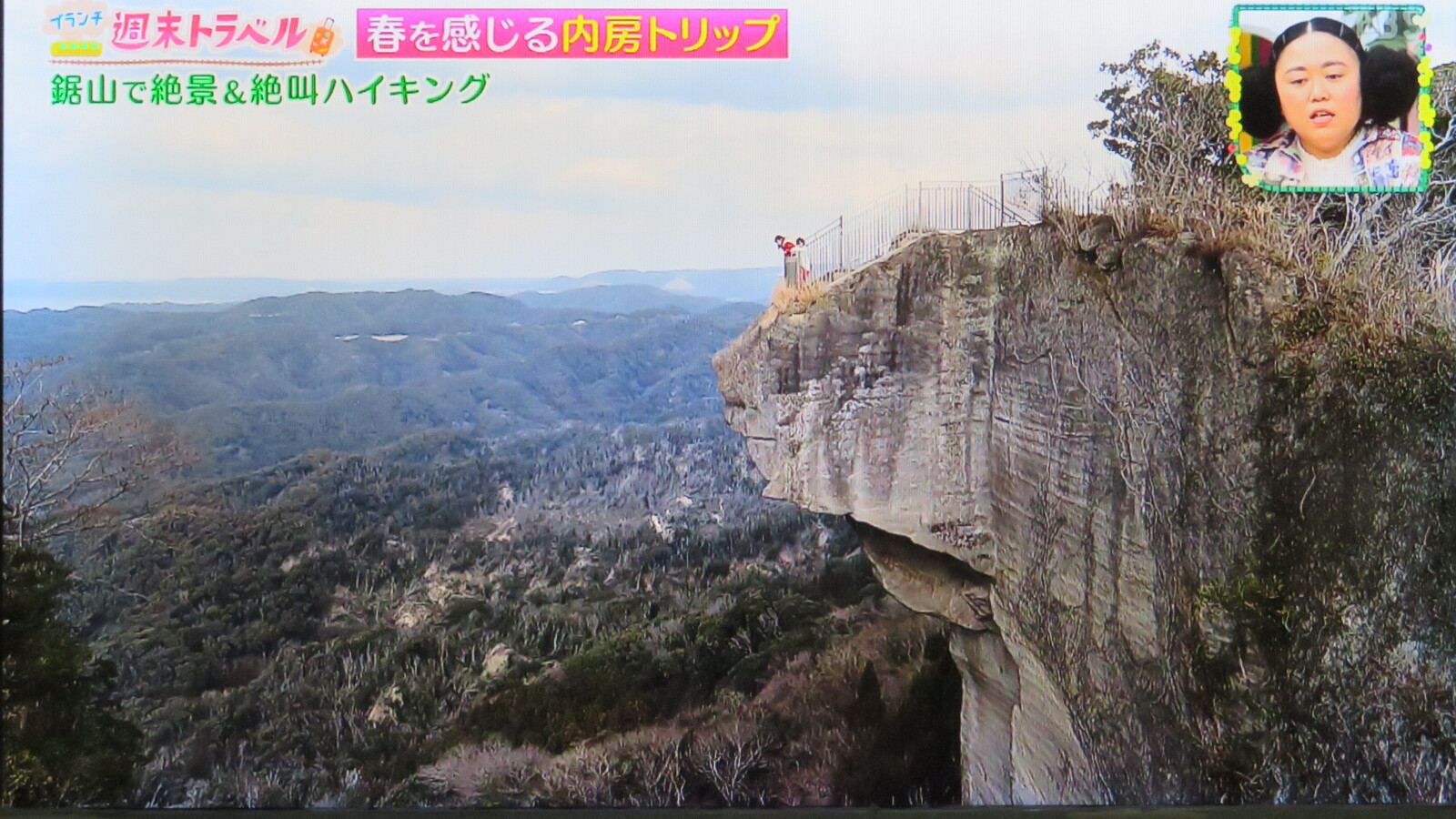 苦節二ヶ月の作業でやっと床レベルの新聞雑誌が無くなりました トラさんの純真